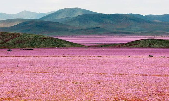 Imagenes graciosas gifs y mujeres hermosas tachido.mx lawaloca