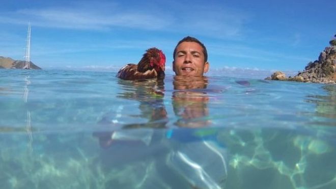 Imagenes graciosas gifs y mujeres hermosas tachido.mx lawaloca
