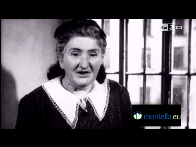 Imagenes graciosas gifs y mujeres hermosas tachido.mx lawaloca