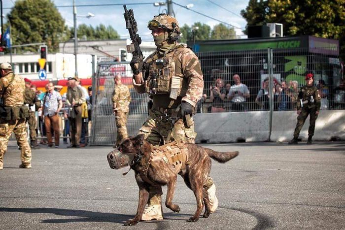 Imagenes graciosas gifs y mujeres hermosas tachido.mx lawaloca