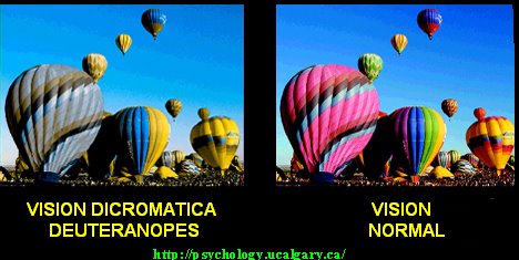 Imagenes graciosas gifs y mujeres hermosas tachido.mx lawaloca